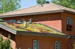 green-roof-2-flickr-kretyen